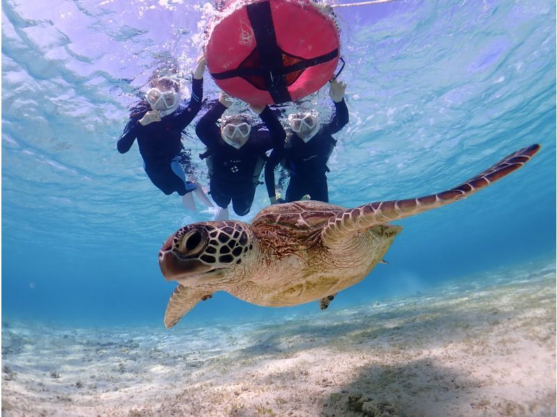 宮古島・2時間【ご家族貸切ウミガメシュノーケルフォトツアー】超お得家族貸切割！高品質写真＆動画付き★追加料金無し★1歳〜OKお子様料金有り！の紹介画像