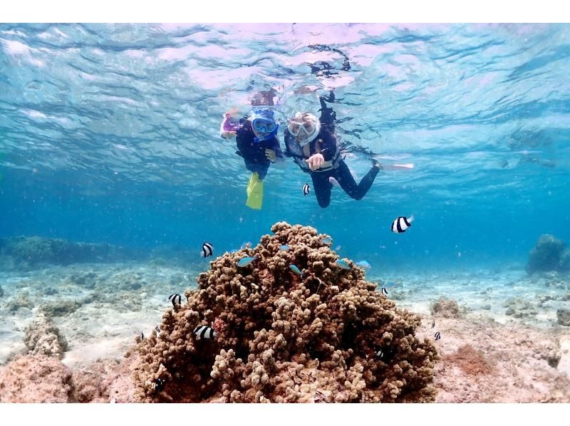 宮古島・家族貸切割引・2時間【ご家族貸切ウミガメシュノーケルフォトツアー】高品質写真＆動画付き【追加料金無し】1歳〜OK！お子様料金有り★の紹介画像