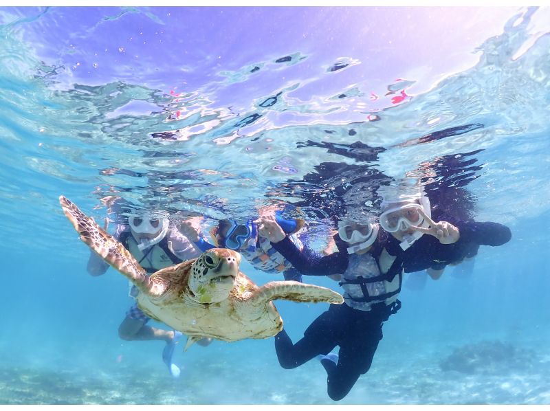 宮古島・家族貸切割引・2時間【ご家族貸切ウミガメシュノーケルフォトツアー】高品質写真＆動画付き【追加料金無し】1歳〜OK！お子様料金有り★の紹介画像