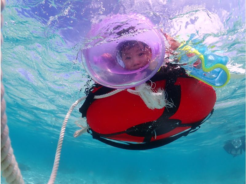 宮古島・家族貸切割引・2時間【ご家族貸切ウミガメシュノーケルフォトツアー】高品質写真＆動画付き【追加料金無し】1歳〜OK！お子様料金有り★の紹介画像