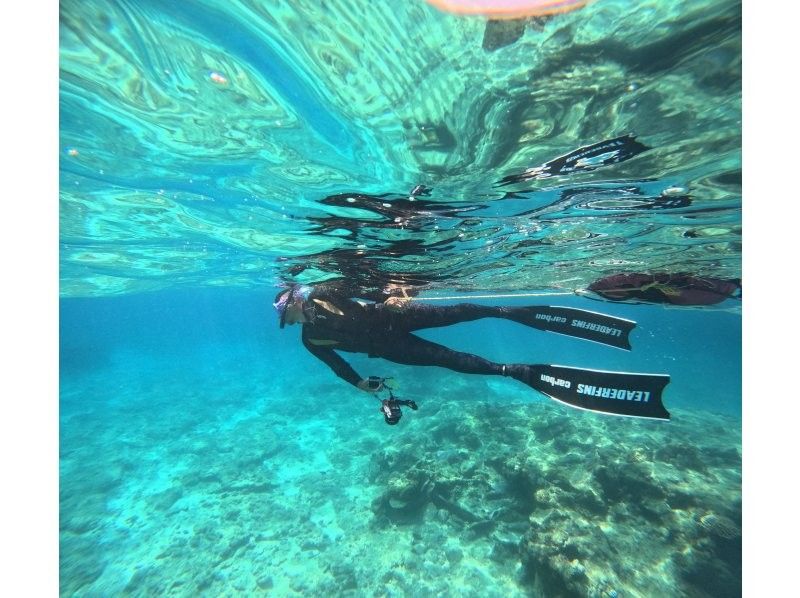 [Okinawa Blue Cave] Boat Entry Blue Cave Skin Divingの紹介画像