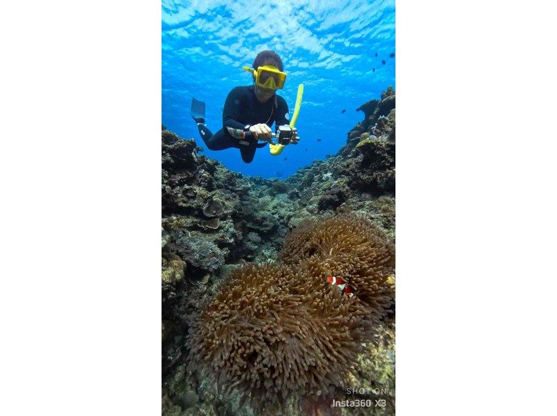 [Okinawa Blue Cave] Boat Entry Blue Cave Skin Divingの紹介画像