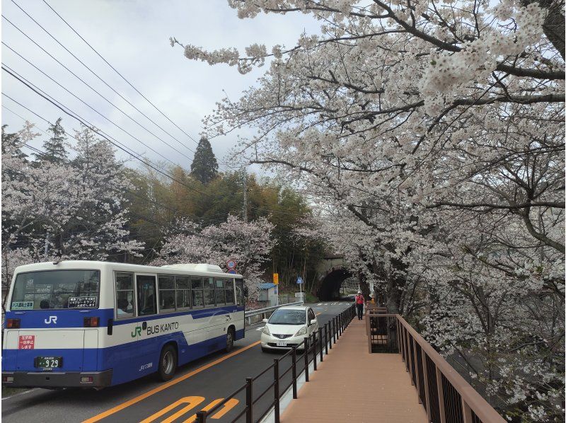 Spring Sale in progress: Sightseeing at Naritasan Shinshoji Temple with a bit of a difference! Explore the secret of why it became a popular tourist destination due to Kabuki and railways ★Go up to the main hall and experience Goma ★Half price for elementary school studentsの紹介画像