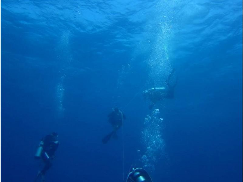 [Departing from Yugawara] It was true that you can dive! Senior & barrier-free trial diving の紹介画像