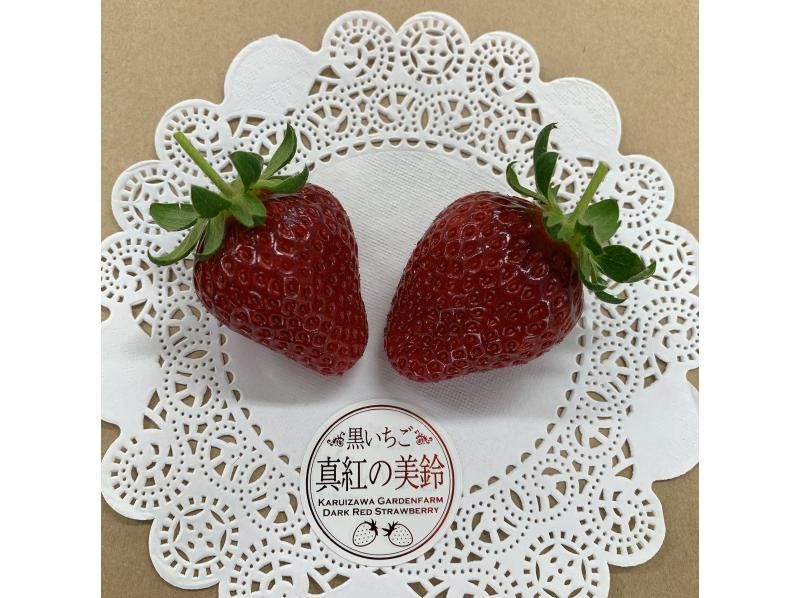 [Nagano/Karuizawa] A fixed amount of picking plan for Shinku no Misuzu (black strawberries) ★ A rare variety featured on Nippon Television's "Manten☆Aozora Restaurant" ★ You can pick and take them homeの紹介画像