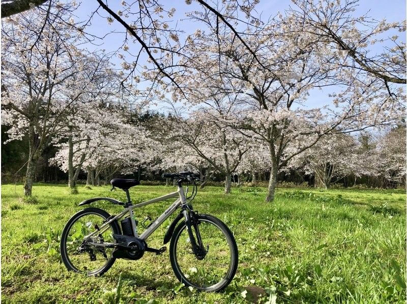 [ฮิโรชิม่า/เมืองคิตาฮิโรชิม่า] กำลังลดราคาฤดูใบไม้ผลิ! ปั่นจักรยานเพลิดเพลินไปกับธรรมชาติอันยิ่งใหญ่ของโออาสะ เมืองคิตาฮิโรชิมะด้วย e-Bike! [รวมชุดกาแฟบดสด]の紹介画像