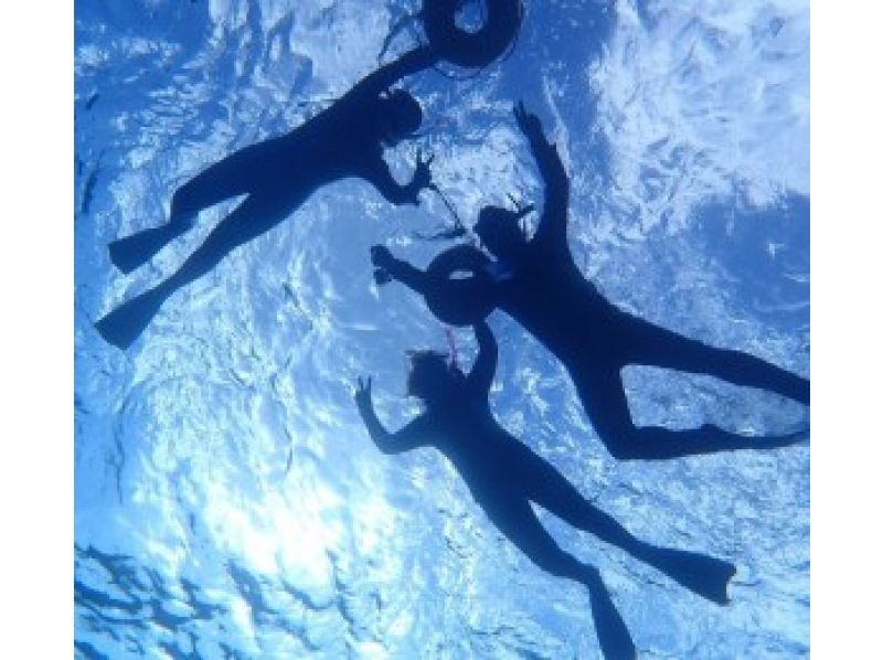 [冲绳石垣岛]幻影岛+ Panari登陆1天浮潜之旅の紹介画像