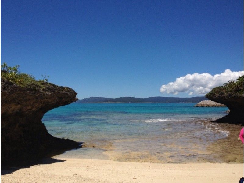 [Okinawa Ishigaki island] Phantom Island + Panari Landing 1 Day Snorkel Tourの紹介画像