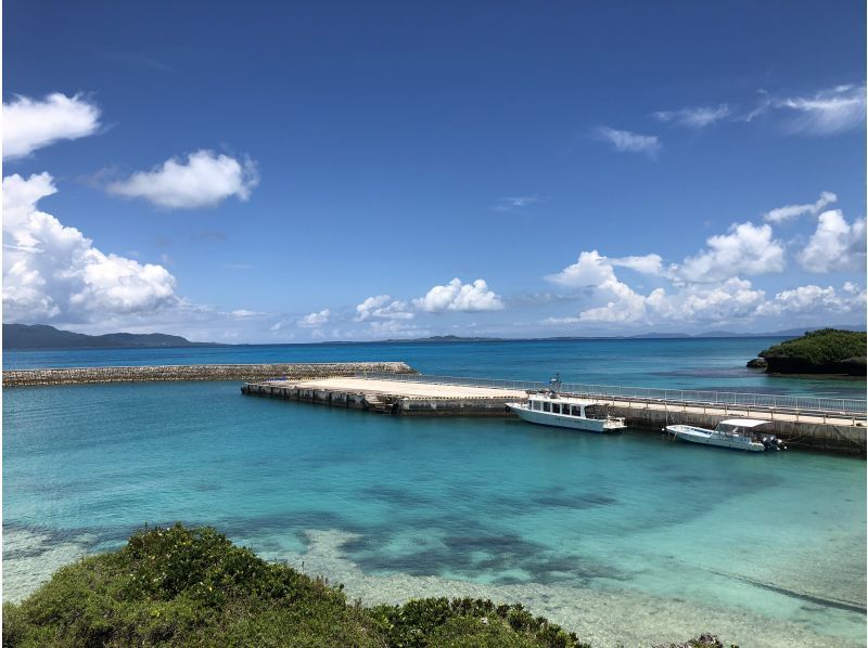 [Okinawa Ishigaki island] Phantom Island + Panari Landing 1 Day Snorkel Tourの紹介画像
