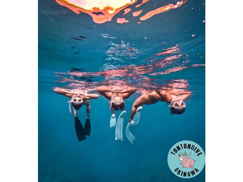 [Okinawa, Minna Island & Sesoko Island] 2 dives Boat entry skin diving (for beginners)の紹介画像