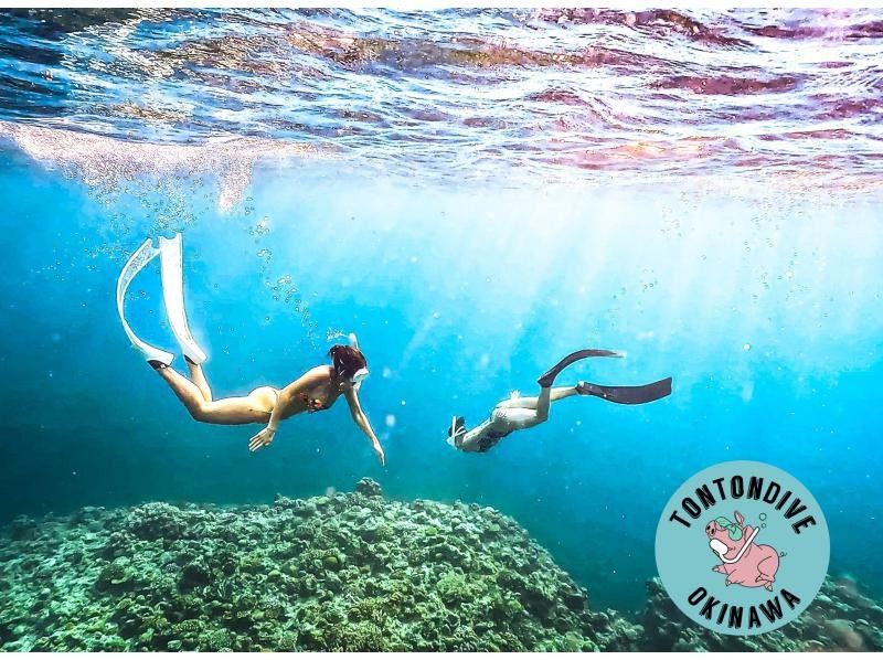 [Okinawa, Minna Island & Sesoko Island] 2 dives Boat entry skin diving (for beginners)の紹介画像