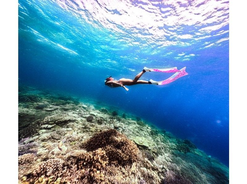 [Okinawa, Minna Island & Sesoko Island] 2 dives Boat entry skin diving (for beginners)の紹介画像