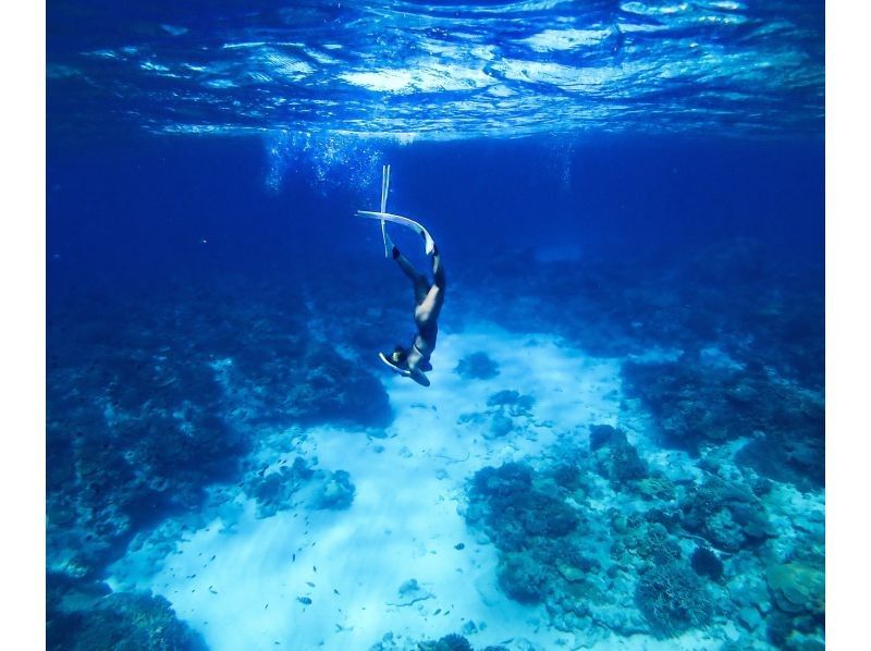 [Okinawa, Minna Island & Sesoko Island] 2 dives Boat entry skin diving (for beginners)の紹介画像