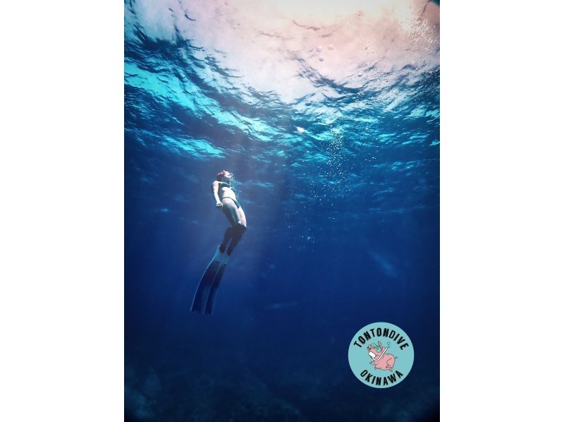[Okinawa, Minna Island & Sesoko Island] 2 dives Boat entry skin diving (for beginners)の紹介画像