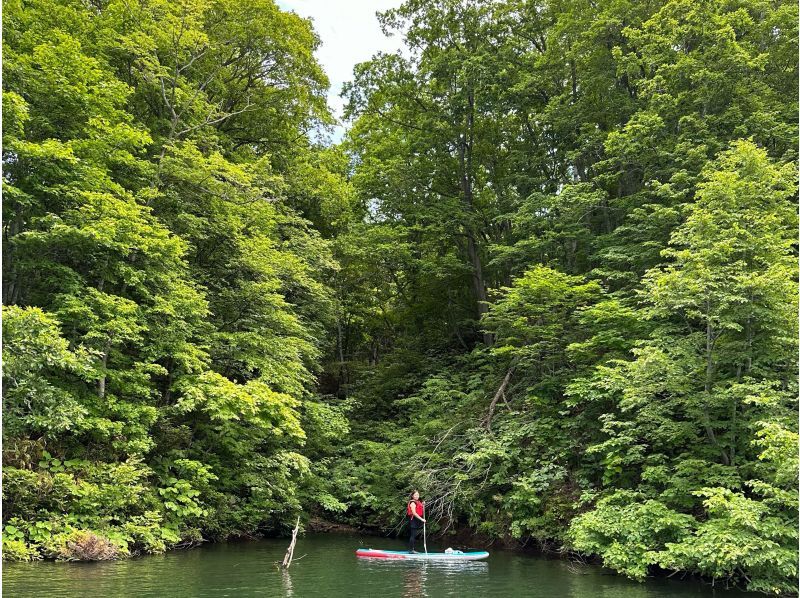 [Hokkaido, Yoichi/Akaigawa] Limited run until October! Forest Lake SUP ~ Relax in the quiet forest and clear air ~ Free wetsuit rental ♪ Ochiai Dam Lakeの紹介画像