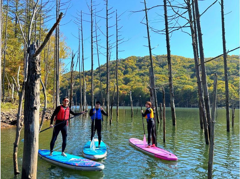 [北海道/余市/赤井川]限定活动至10月！森林湖SUP〜在安静的森林和清新的空气中舒缓〜免费潜水服租赁♪落合水坝湖の紹介画像