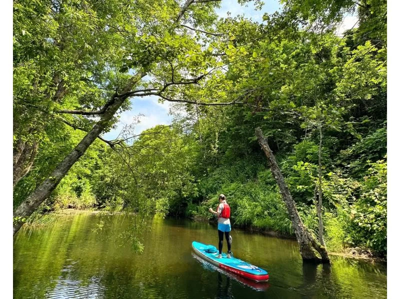 [Hokkaido, Yoichi/Akaigawa] Limited run until October! Forest Lake SUP ~ Relax in the quiet forest and clear air ~ Free wetsuit rental ♪ Ochiai Dam Lakeの紹介画像