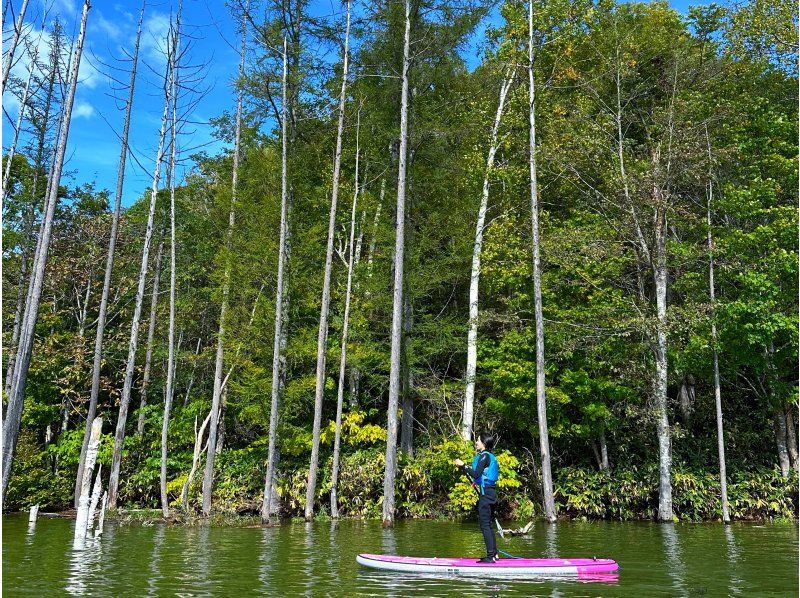 [Hokkaido, Yoichi/Akaigawa] Limited run until October! Forest Lake SUP ~ Relax in the quiet forest and clear air ~ Free wetsuit rental ♪ Ochiai Dam Lakeの紹介画像