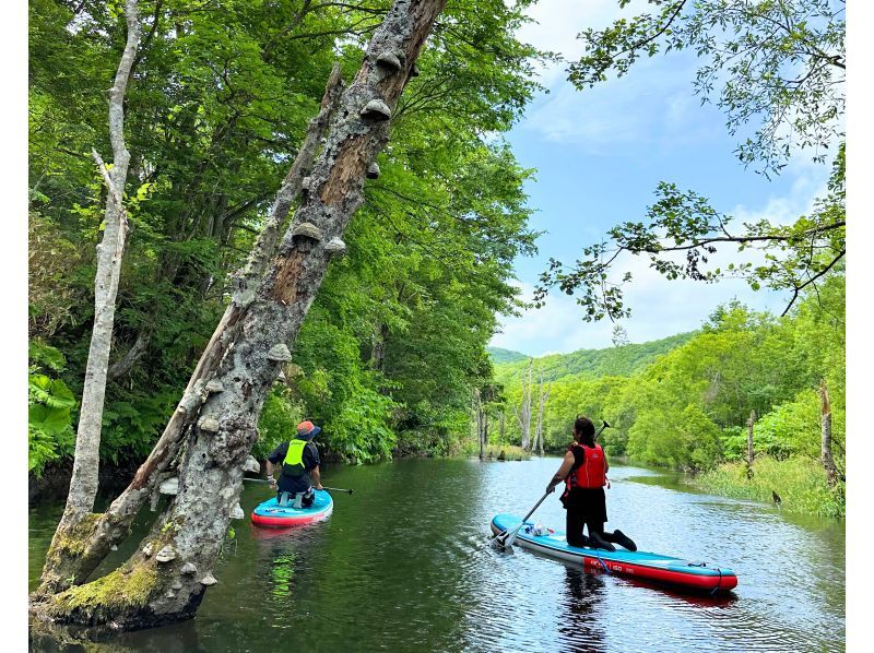 [Hokkaido, Yoichi/Akaigawa] Limited run until October! Forest Lake SUP ~ Relax in the quiet forest and clear air ~ Free wetsuit rental ♪ Ochiai Dam Lakeの紹介画像