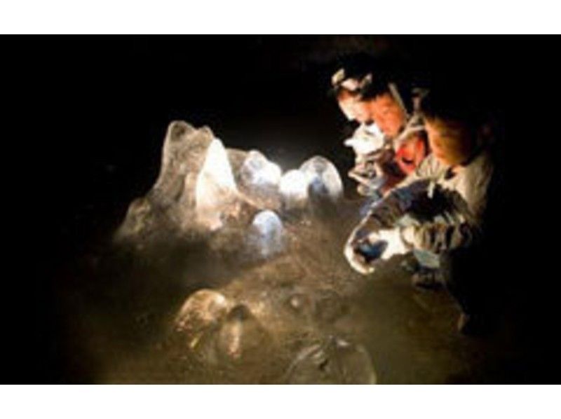 [山梨川口湖富士山]青木原Jukai /洞穴探險神秘課程[課程]の紹介画像