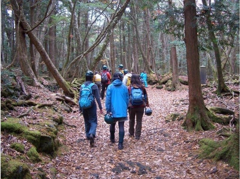 [Yamanashi/ Kawaguchiko] Aokigahara Jukai / Cave Exploration Mystery Course "A Course" Enjoy with your family and friends!の紹介画像
