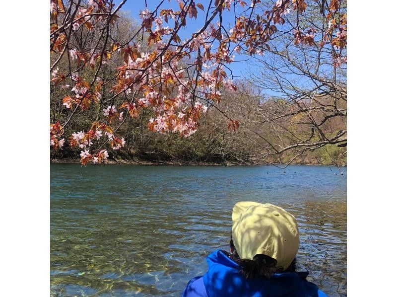 【北海道・千歳】春・夏〜水質日本一の支笏湖でSUP体験ツアー・最新GOPRO11撮影写真プレゼント（約2時間）の紹介画像
