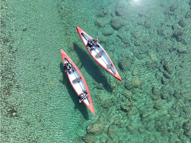 仁淀川・仁淀ブルー】カナディアンカヌー宙船（そらふね）体験