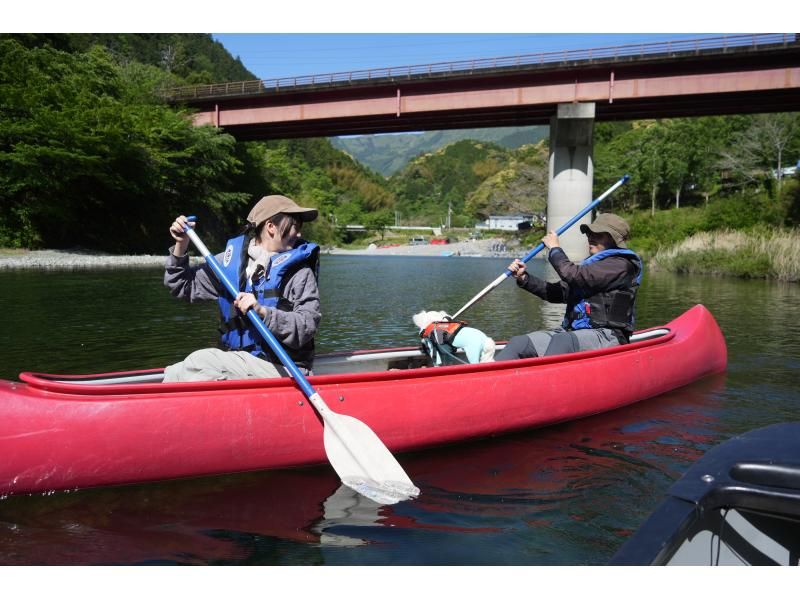 【仁淀川・仁淀ブルー】カナディアンカヌー宙船（そらふね）体験／スイーツ付／一眼レフ＆4Kドローン撮影データプレゼント！／【ペットと一緒も♪】の紹介画像