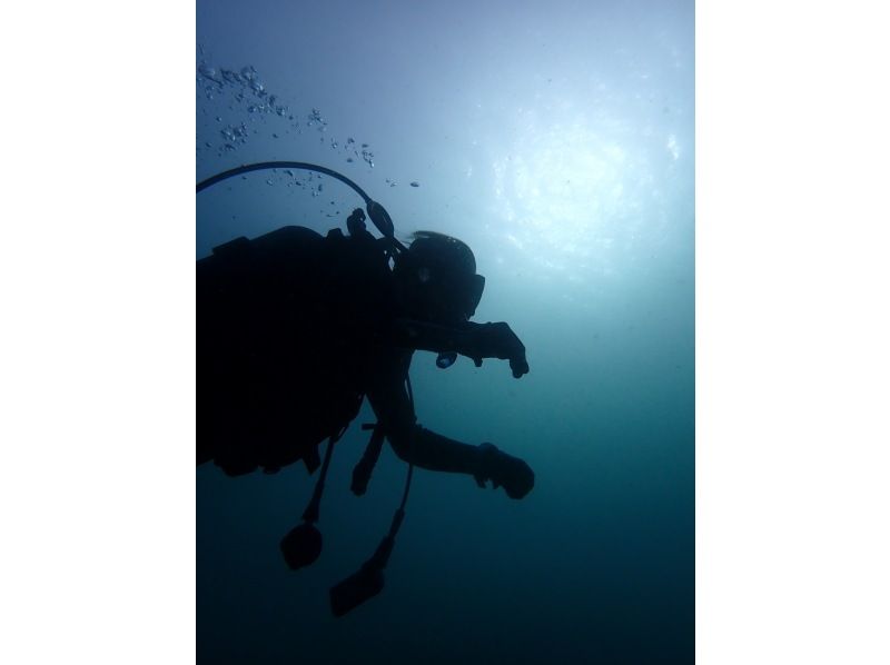 [Activity Japan only! ] Get your beginner's license in 2 days ♪ ~PADI Open Water Courseの紹介画像