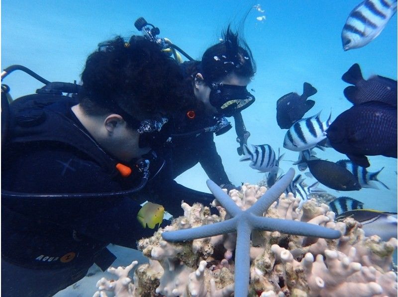 Okinawa, Motobu Town, Gorilla Chop Beach Fun Diving is very popular among beginners and divers who have never divered before. Free GoPro photo data service and all equipment rental fees are included!の紹介画像