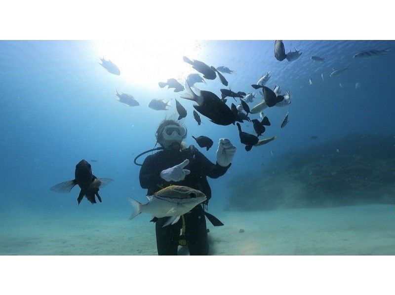 Okinawa, Motobu Town, Gorilla Chop Beach Fun Diving is very popular among beginners and divers who have never divered before. Free GoPro photo data service and all equipment rental fees are included!の紹介画像