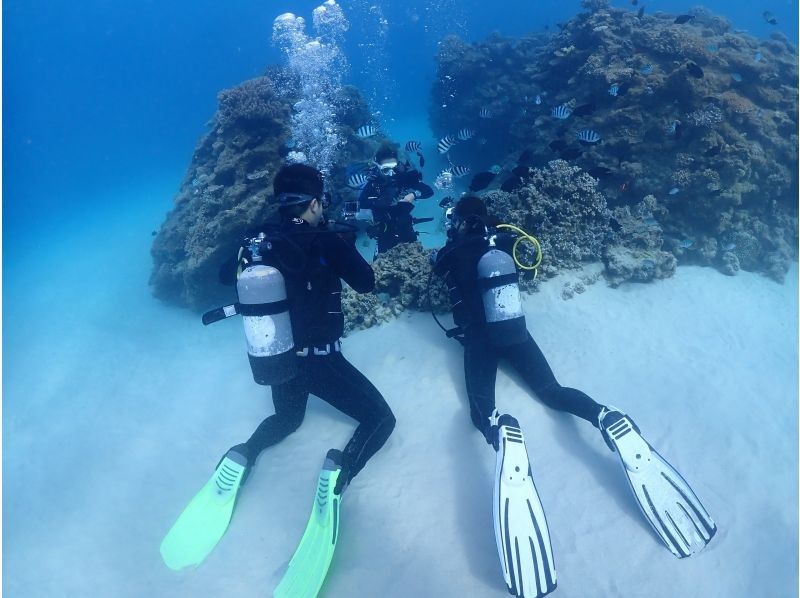 Okinawa, Motobu Town, Gorilla Chop Beach Fun Diving is very popular among beginners and divers who have never divered before. Free GoPro photo data service and all equipment rental fees are included!の紹介画像