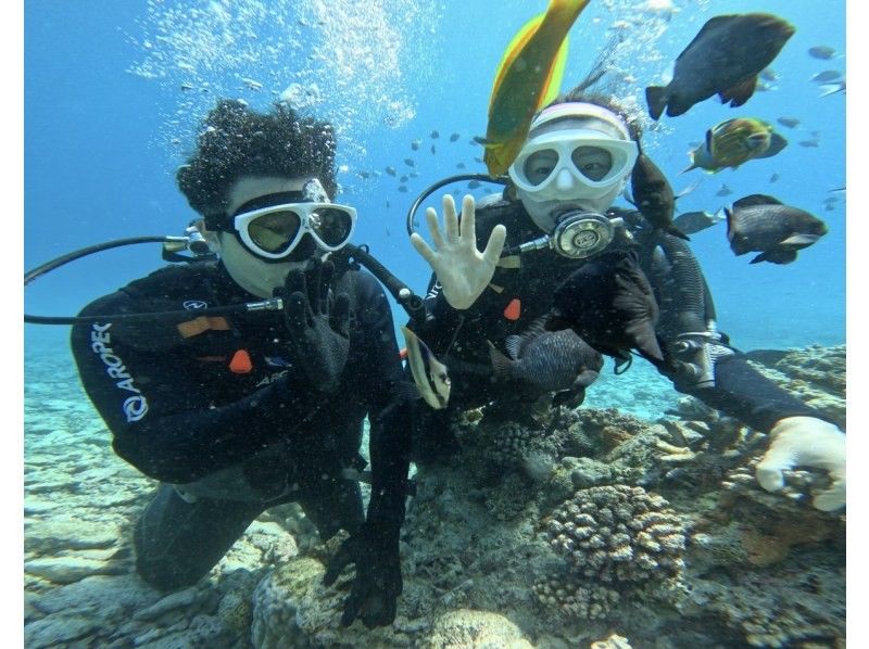 沖繩，本部町，Gorilla Chop Beach Fun Diving，在初學者和空白潛水者中很受歡迎♪免費GoPro照片數據，包括所有設備租賃費！の紹介画像