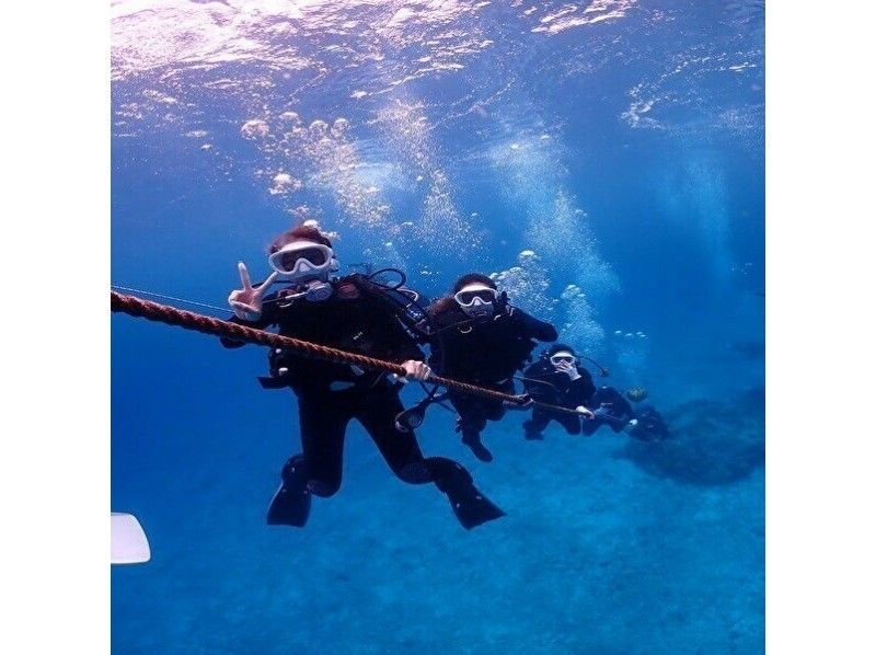 [冲绳总部/水纳岛或濑底岛或大猩猩印章]船迷潜水1潜！免费赠送照片数据♪の紹介画像