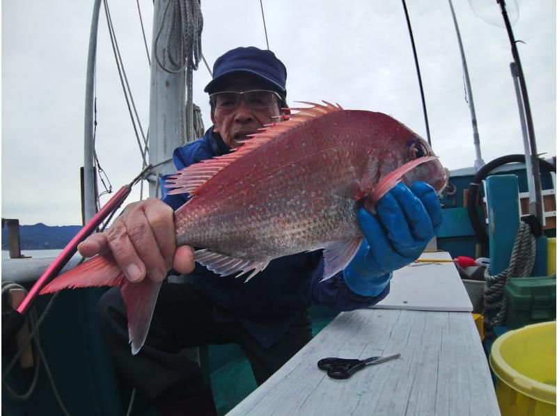 [Wakayama/Susami Town [Charter]] Rockfish, Tenya fishing! Aim for sea bream and grouper!の紹介画像