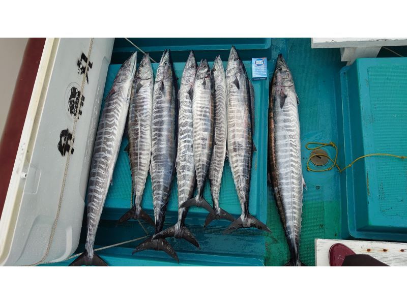 [Wakayama/Susami Town [Charter]] Fighting with super big guys is not just a dream! ? Experience trolling (marlin/Japanese mackerel)の紹介画像