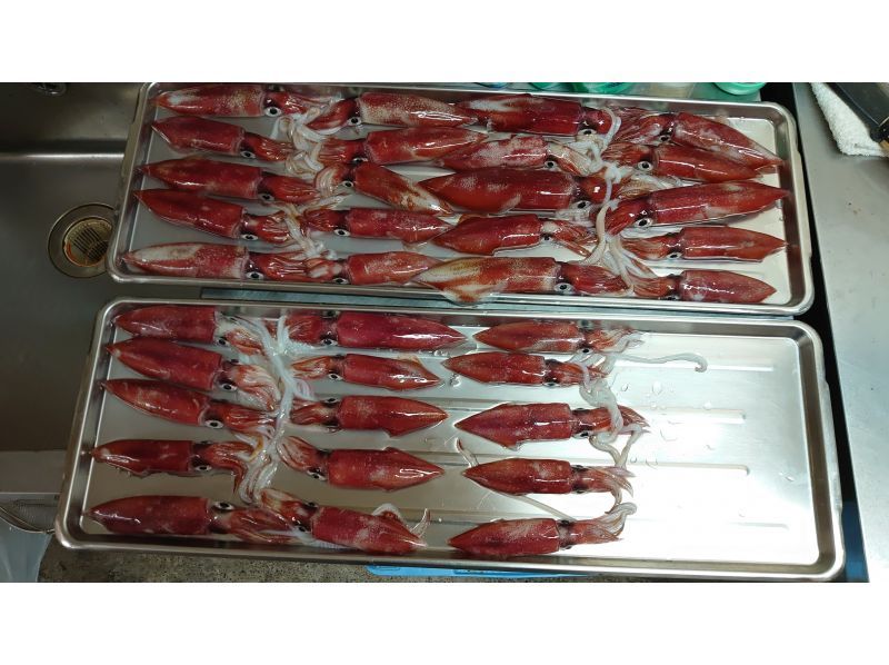[和歌山/週見町[包船]]紅魷魚釣魚和游泳！ （6月至9月半夜）の紹介画像