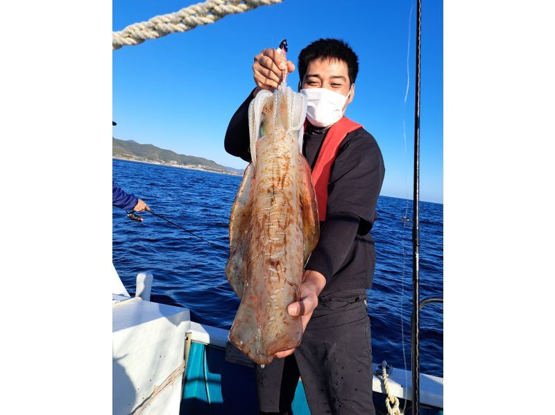 [Wakayama/Susami Town [Charter]] Would you like to catch a bigfin squid? ? Bigfin squid: Tip run (7 hours)の紹介画像