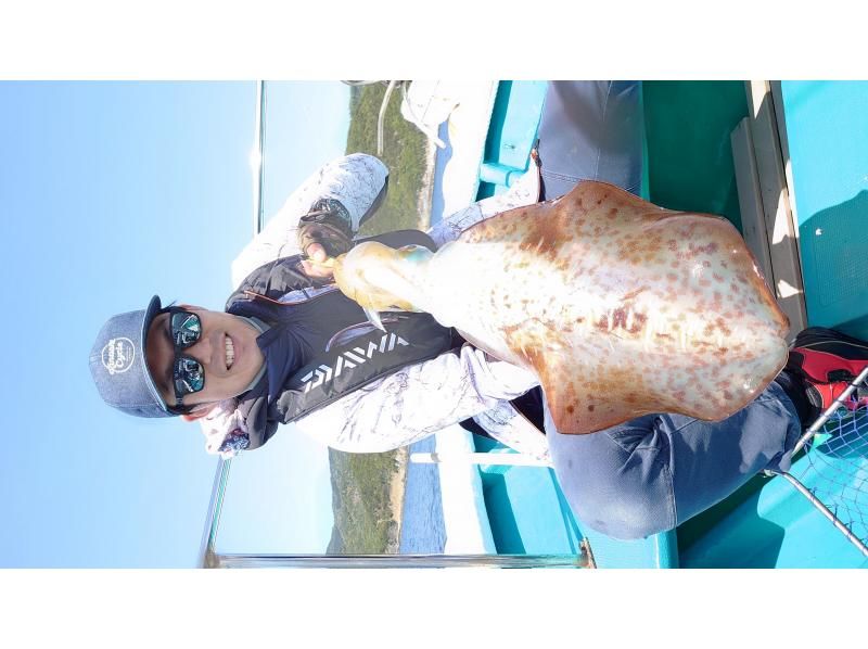 [Wakayama/Susami Town [Charter]] Would you like to catch a bigfin squid? ? Bigfin squid: Tip run (7 hours)の紹介画像