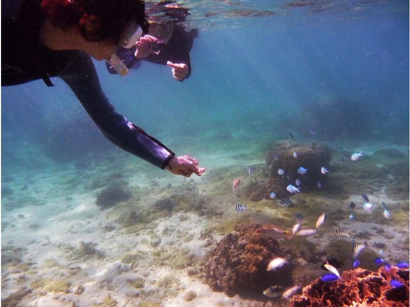 【貸切・専用温水シャワー更衣室ドライヤー有・バスタオル付 那覇空港・那覇市内（おもろまち・首里除外）送迎有】本島南部 自然海岸スノーケリングの紹介画像