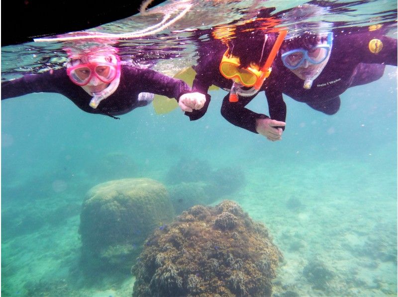 【貸切・専用温水シャワー更衣室ドライヤー有・バスタオル付 那覇空港・那覇市内（おもろまち・首里除外）送迎有】本島南部 自然海岸スノーケリングの紹介画像