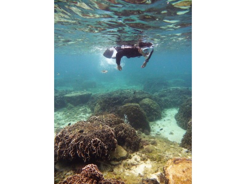 【貸切・専用温水シャワー更衣室ドライヤー有・バスタオル付 那覇空港・那覇市内（おもろまち・首里除外）送迎有】本島南部 自然海岸スノーケリングの紹介画像