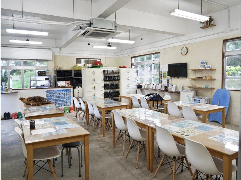 当日予約OK【宮古島】ウミガメ遭遇率100%継続中★市内店舗集合&送迎付き★ウェットスーツ&GoPro写真動画無料★温水シャワー完備♪の紹介画像