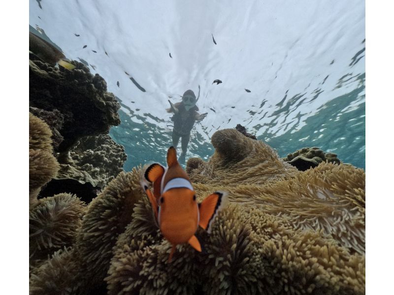 [The only one in Miyakojima! A comfortable snorkeling shop with free facilities] Anyone from 3 to 75 years old can enjoy it! The store is a 15-minute walk from the city center, so you can feel safe!の紹介画像