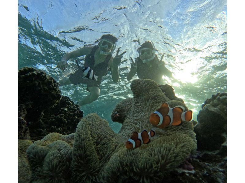 [The only one in Miyakojima! A comfortable snorkeling shop with free facilities] Anyone from 2 to 75 years old can enjoy it! The store is a 15-minute walk from the city center, so you can feel safe!の紹介画像