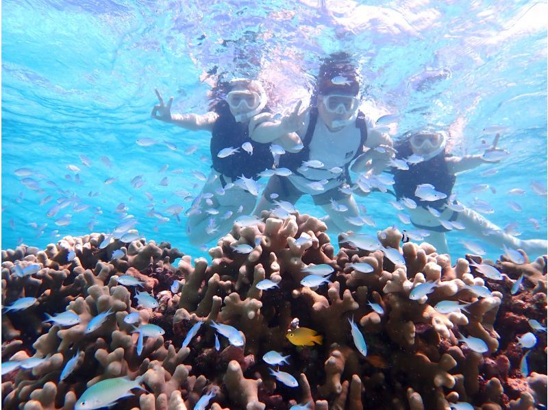 [The only one in Miyakojima! A comfortable snorkeling shop with free facilities] Anyone from 3 to 75 years old can enjoy it! The store is a 15-minute walk from the city center, so you can feel safe!の紹介画像