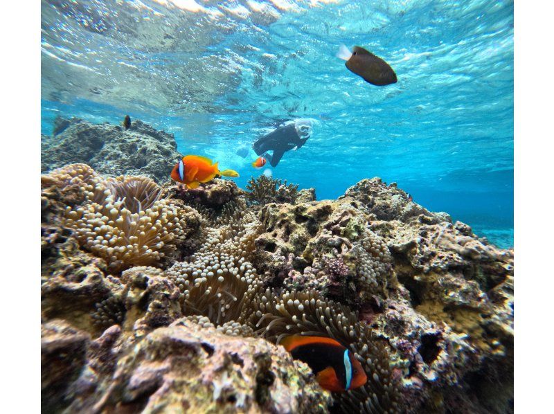 [The only one in Miyakojima! A comfortable snorkeling shop with free facilities] Anyone from 3 to 75 years old can enjoy it! The store is a 15-minute walk from the city center, so you can feel safe!の紹介画像