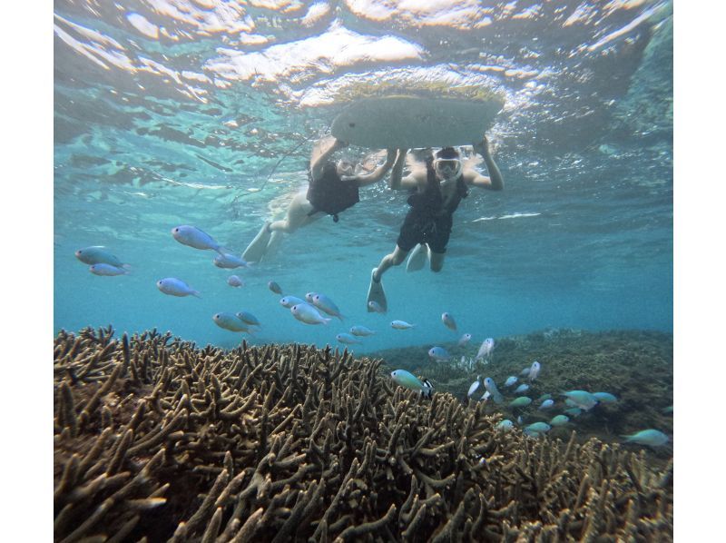 [The only one in Miyakojima! A comfortable snorkeling shop with free facilities] Anyone from 2 to 75 years old can enjoy it! The store is a 15-minute walk from the city center, so you can feel safe!の紹介画像