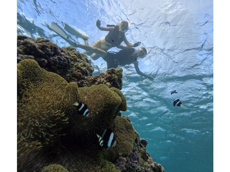 [The only one in Miyakojima! A comfortable snorkeling shop with free facilities] Anyone from 2 to 75 years old can enjoy it! The store is a 15-minute walk from the city center, so you can feel safe!の紹介画像