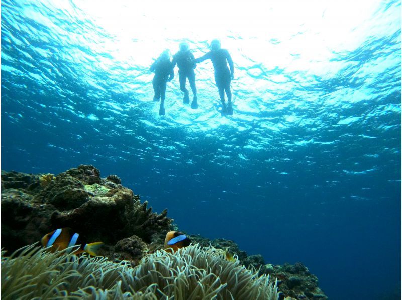 [The only one in Miyakojima! A comfortable snorkeling shop with free facilities] Anyone from 3 to 75 years old can enjoy it! The store is a 15-minute walk from the city center, so you can feel safe!の紹介画像